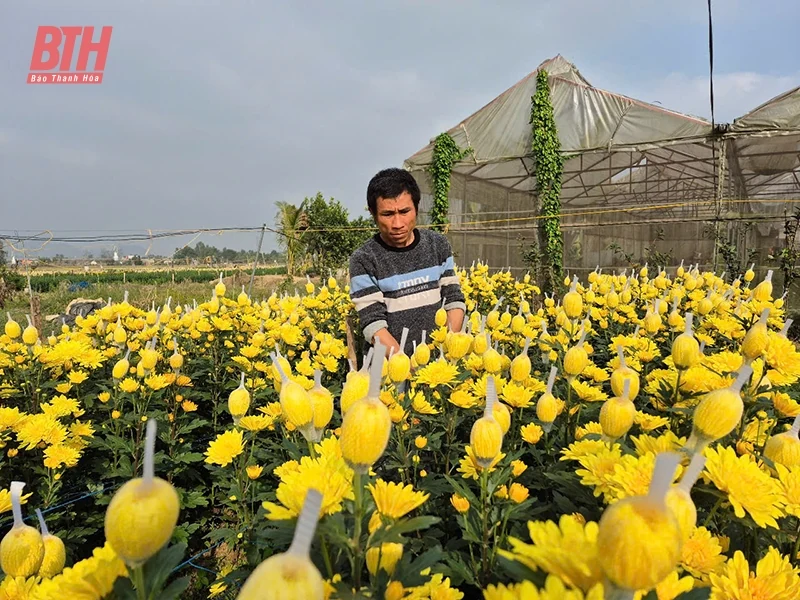 Làm giàu từ đồng hoang