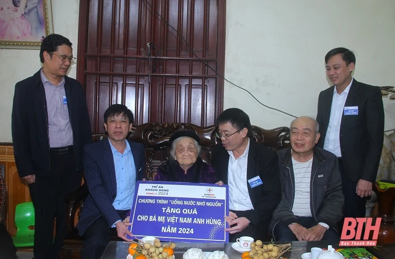 Sửa đổi, bổ sung một số điều của Nghị định số 56/2013/NĐ-CP về quy định chi tiết và hướng dẫn thi hành Pháp lệnh quy định danh hiệu vinh dự Nhà nước Bà mẹ Việt Nam anh hùng