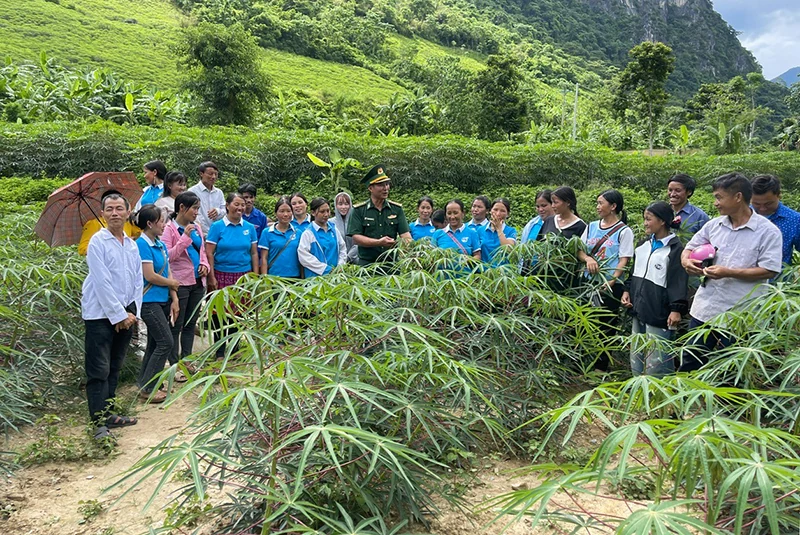 Tạo nguồn nhân lực cho phát triển nông nghiệp