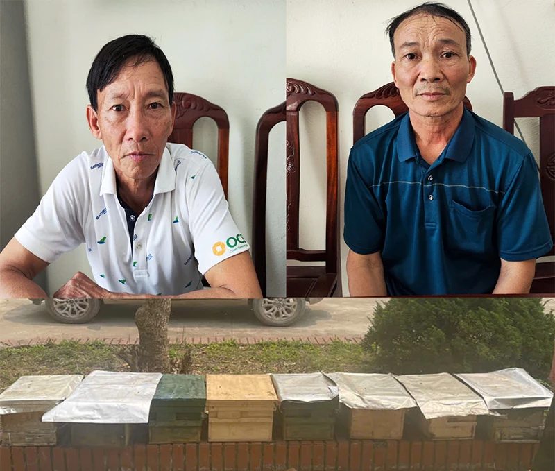 Bắt giữ hai đối tượng trộm cắp tài sản