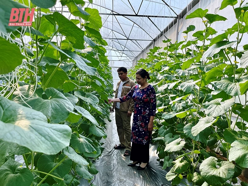 Những việc làm dung dị đem lại lợi ích lớn