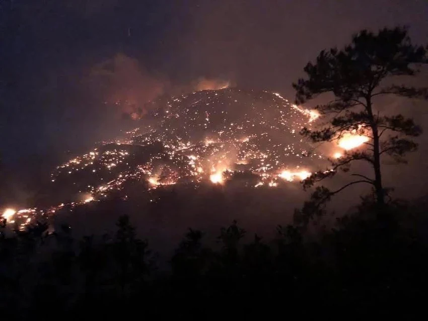 Cháy rừng liên tiếp ở Quảng Ninh, Hải Phòng, hàng trăm người dập lửa trong đêm