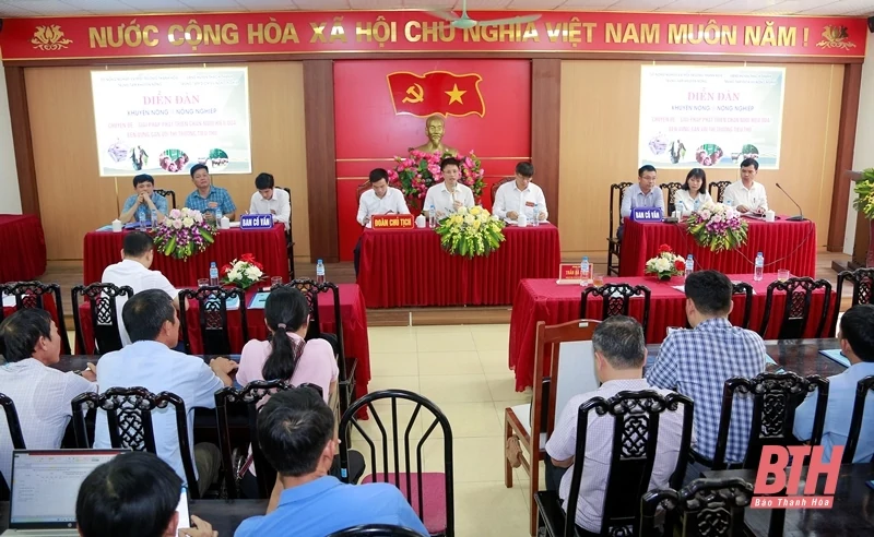 Thảo luận giải pháp phát triển chăn nuôi hiệu quả, bền vững gắn với thị trường tiêu thụ