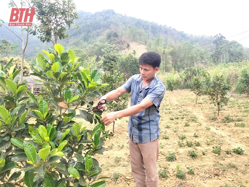 Bí thư chi bộ kiêm trưởng bản 8X trách nhiệm với công việc tập thể