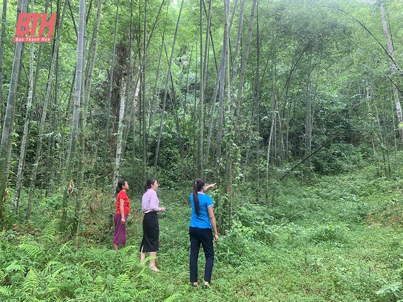 Nâng cao hiệu quả hoạt động tín dụng chính sách tại huyện Quan Sơn