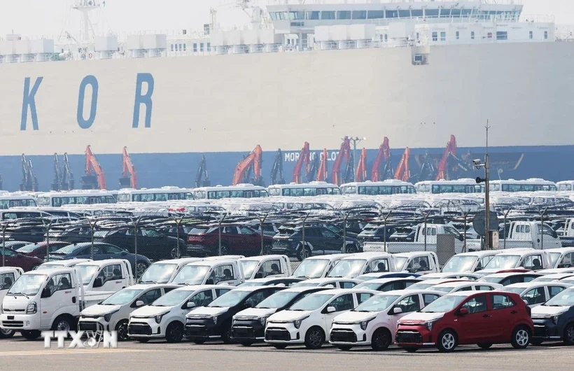 Xe điện Kia EV3 thắng lớn tại Triển lãm ôtô quốc tế