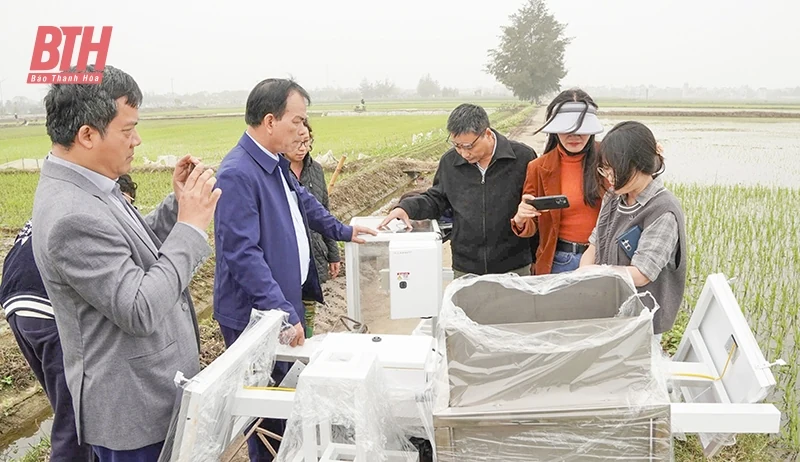 Ứng dụng trí tuệ nhân tạo trong sản xuất nông nghiệp