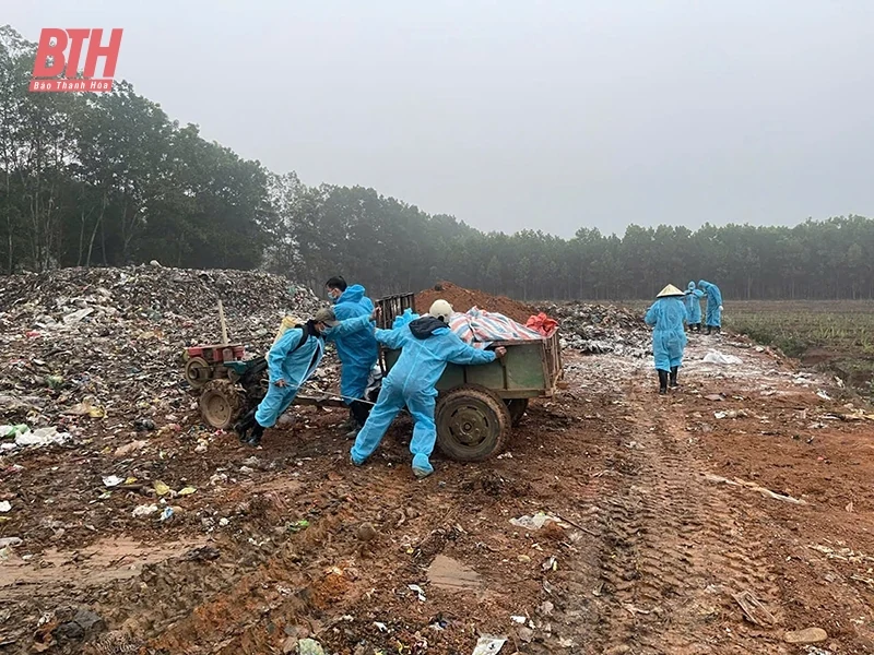 Không chủ quan trước dịch bệnh trên đàn gia súc, gia cầm