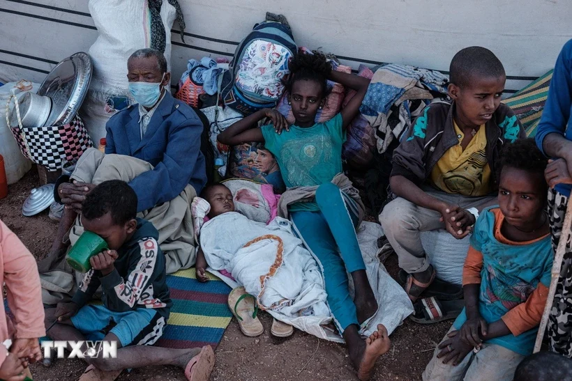 WFP dừng cứu trợ 650.000 phụ nữ, trẻ em do thiếu ngân quỹ