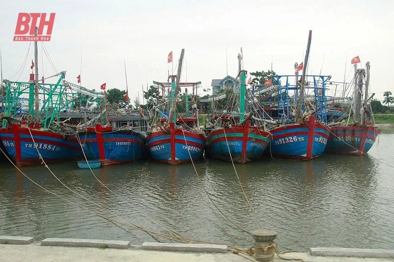 Bảo đảm các khu neo đậu tránh trú bão cho tàu cá