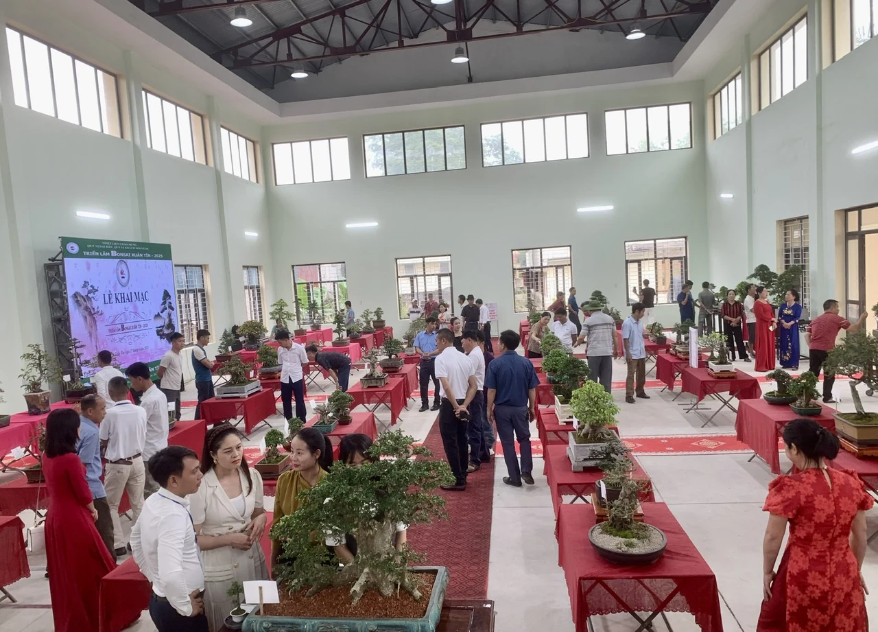 Triển lãm Bonsai xã Xuân Tín 2025