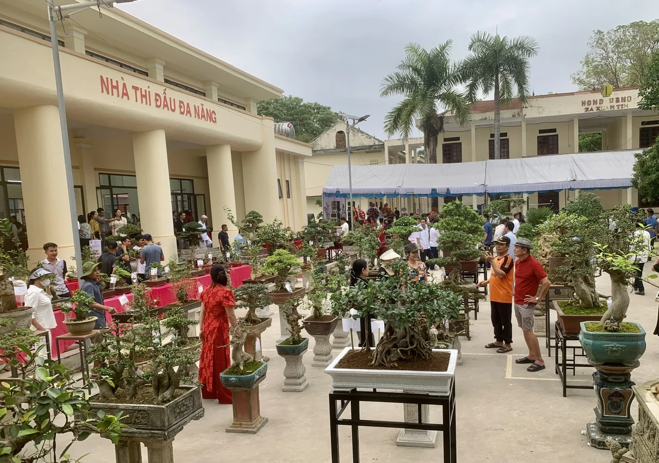 Triển lãm Bonsai xã Xuân Tín 2025