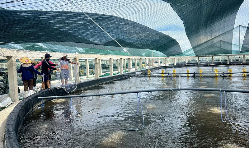 Cơ sở triển khai khâu đột phá về khoa học và công nghệ