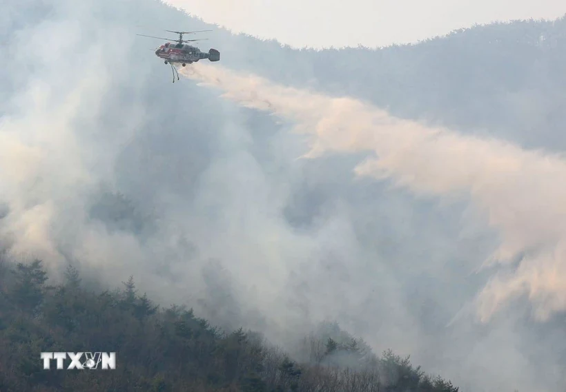 Hàn Quốc ra lệnh sơ tán hơn 1.200 cư dân do cháy rừng