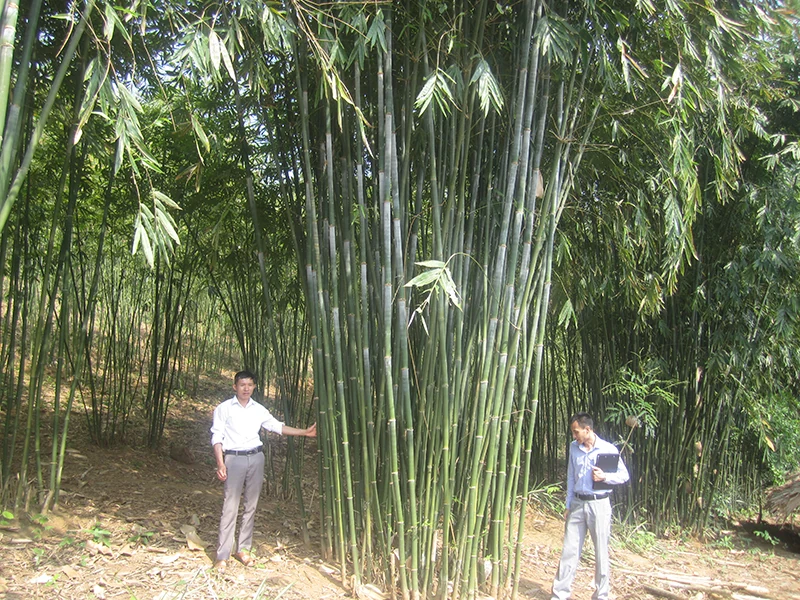 Huy động nguồn lực xây dựng nông thôn mới ở vùng cao Quan Sơn