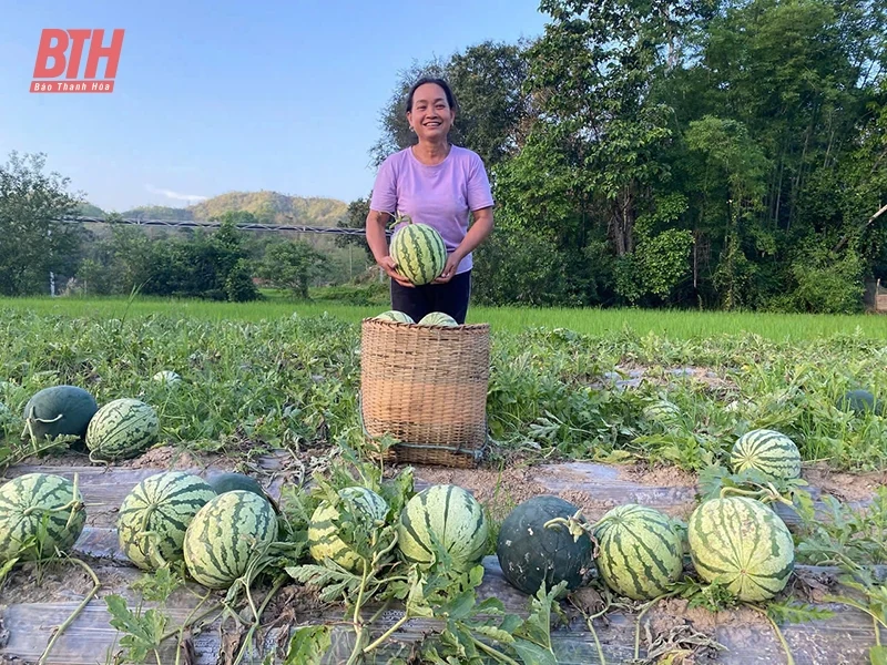 Mường Lát vươn mình: Hành trình thay đổi từ Nghị quyết 11-NQ/TU (Bài 2) - Hoàn thành lời hứa với cố Tổng Bí thư Nguyễn Phú Trọng