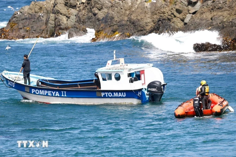 Chile ban bố cảnh báo sóng thần sau trận động đất mạnh ở vùng cực Nam
