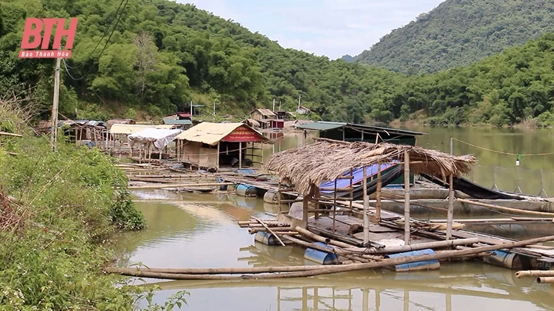 Nuôi cá lồng trên hồ thủy lợi, thủy điện
