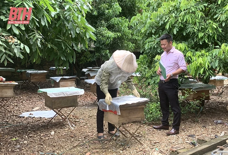 Nông dân Thạch Thành giúp nhau phát triển kinh tế