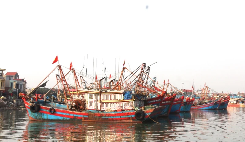 Động viên ngư dân bám biển sản xuất bình thường trong phạm vi vùng biển của Việt Nam