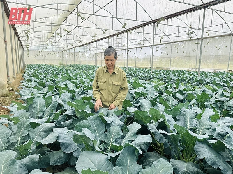 Xây dựng chuỗi cung ứng thực phẩm an toàn