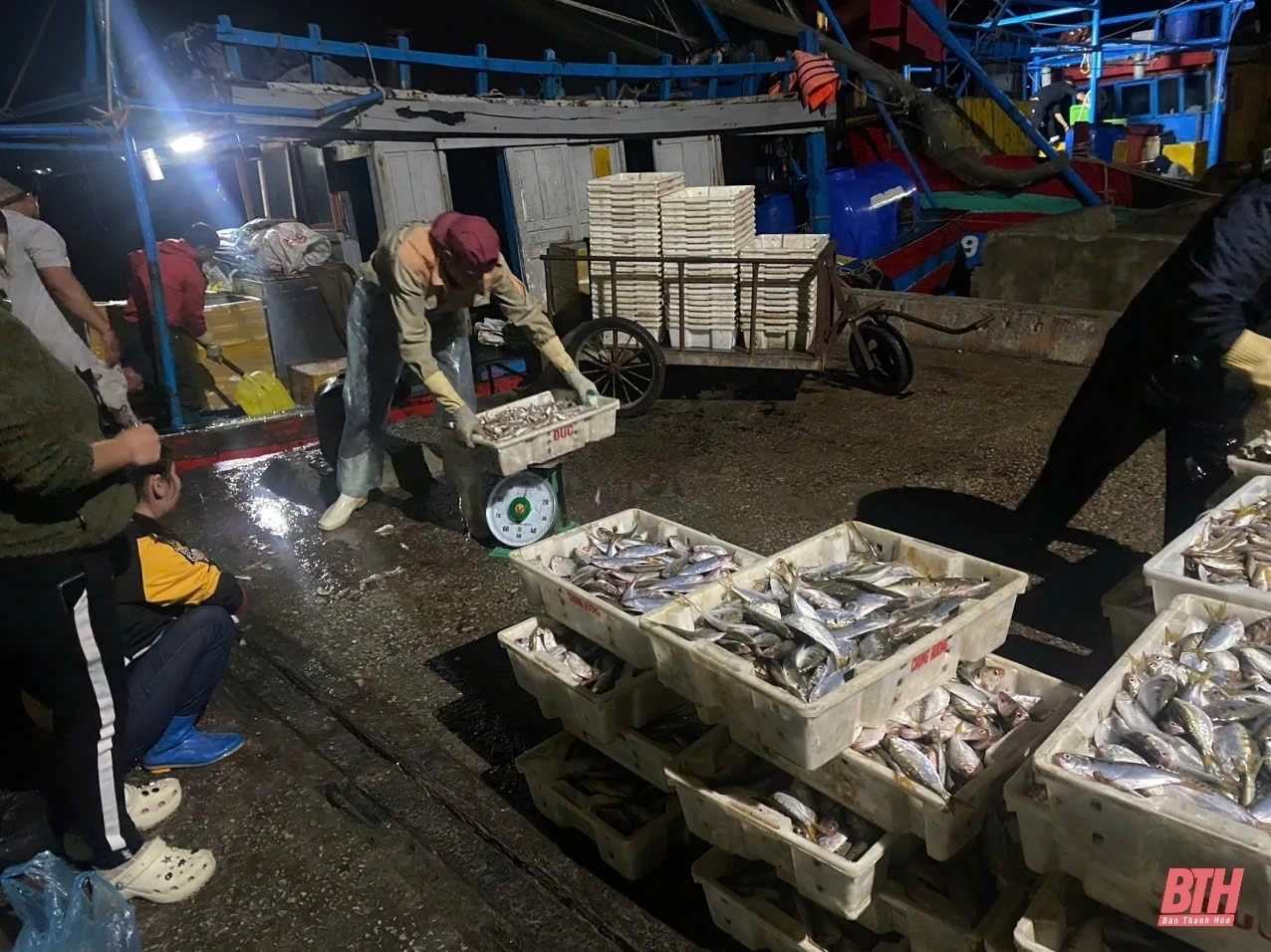 Cảng cá Hòa Lộc đảm bảo cho tàu thuyền bốc dỡ hàng hoá và tránh trú bão an toàn