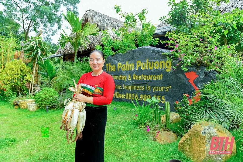 Pù Luông: Mùa vàng đang gọi