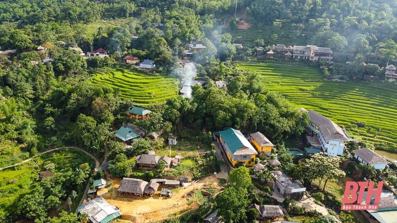 Pù Luông: Mùa vàng đang gọi