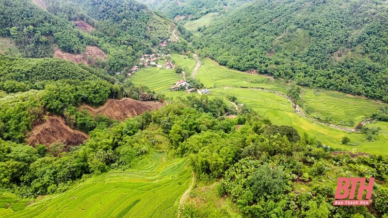 Pù Luông: Mùa vàng đang gọi