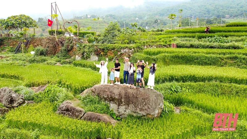 Pù Luông: Mùa vàng đang gọi