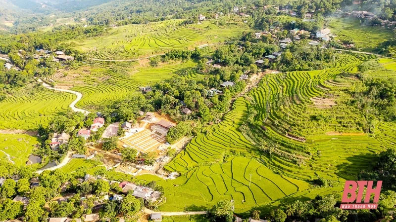 Pù Luông: Mùa vàng đang gọi