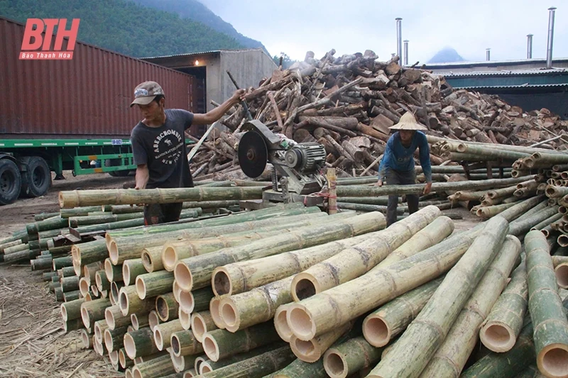 Nhân rộng mô hình HTX hoạt động hiệu quả trên địa bàn huyện Quan Hóa