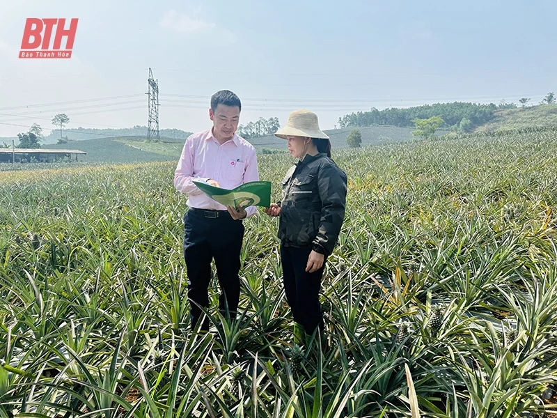 Tiếp sức cho hộ sản xuất, kinh doanh vùng khó khăn