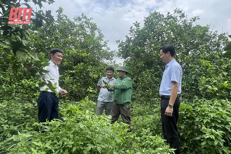 Trên vùng đất Bãi Trành