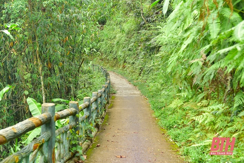 Kho Mường thức giấc giữa đại ngàn