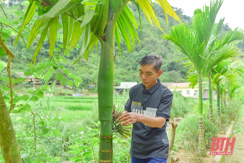 Kho Mường thức giấc giữa đại ngàn