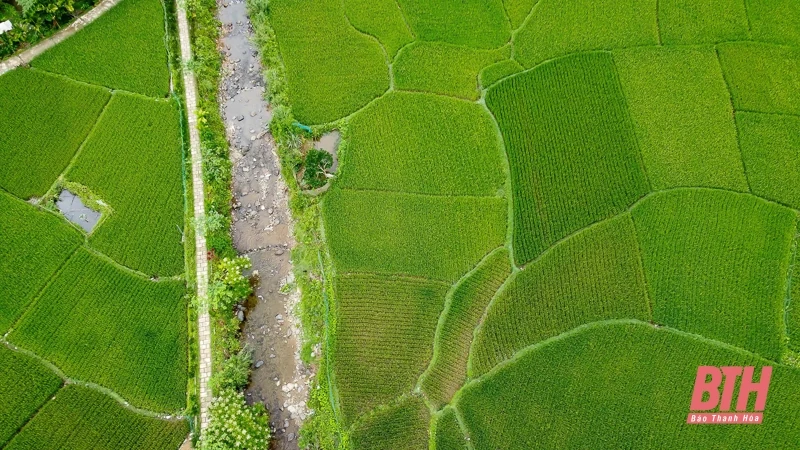 Kho Mường thức giấc giữa đại ngàn