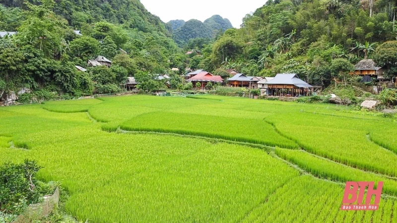 Kho Mường thức giấc giữa đại ngàn