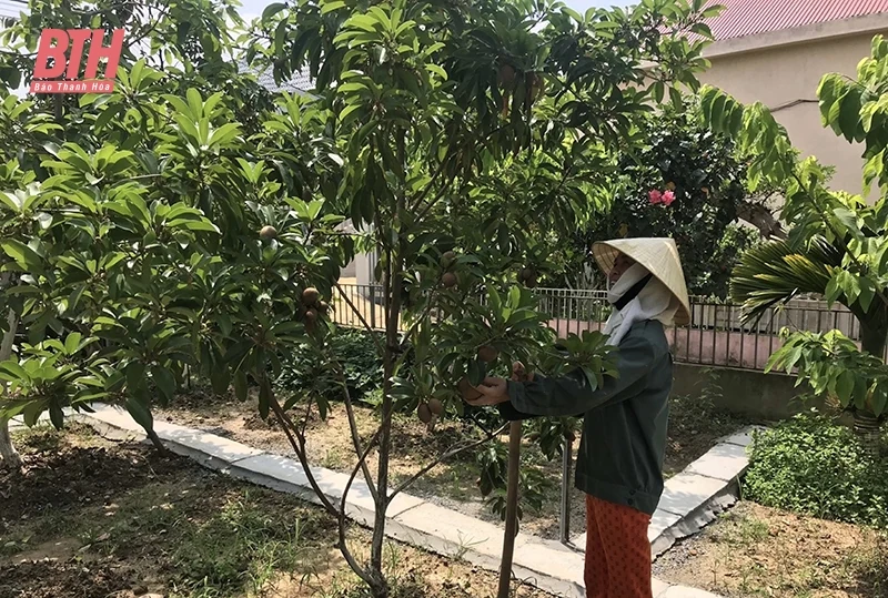 Thiệu Hóa lan tỏa các phong trào thi đua, mô hình xây dựng nông thôn mới