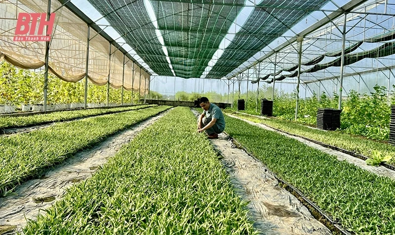 Tưới nước tiết kiệm - “chìa khóa” mở cánh cửa nông nghiệp hiện đại