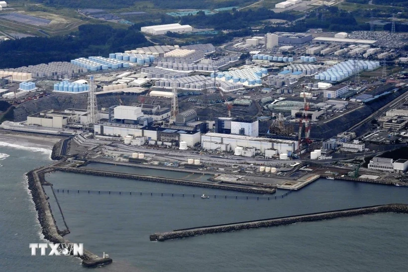 Nhật Bản thông báo Trung Quốc bắt đầu các thủ tục nối lại nhập khẩu hải sản