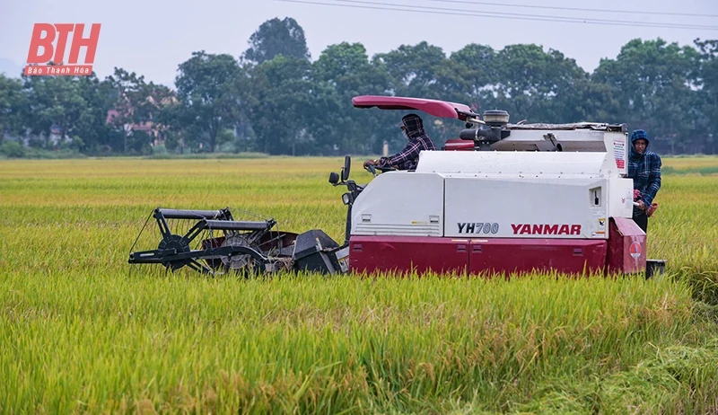 “Rào cản” nâng cao tỷ lệ cơ giới hóa đồng bộ