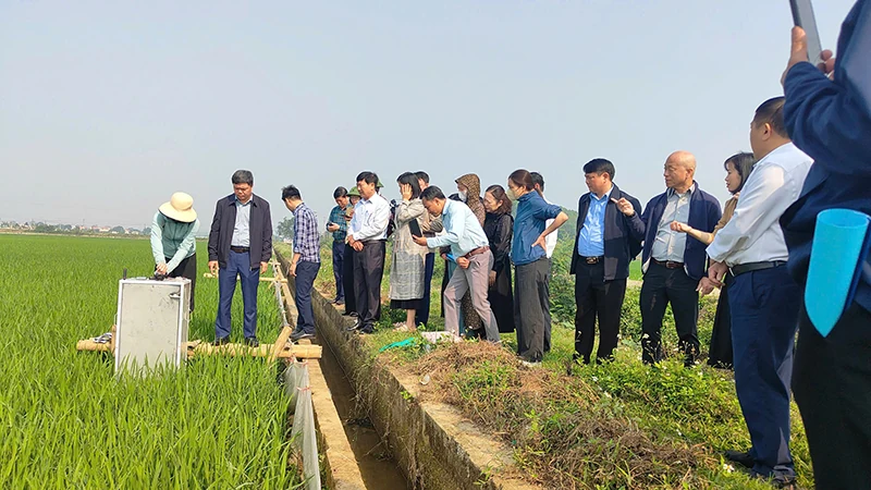 Tín hiệu khả quan từ tạo tín chỉ carbon trong sản xuất lúa ở Yên Định