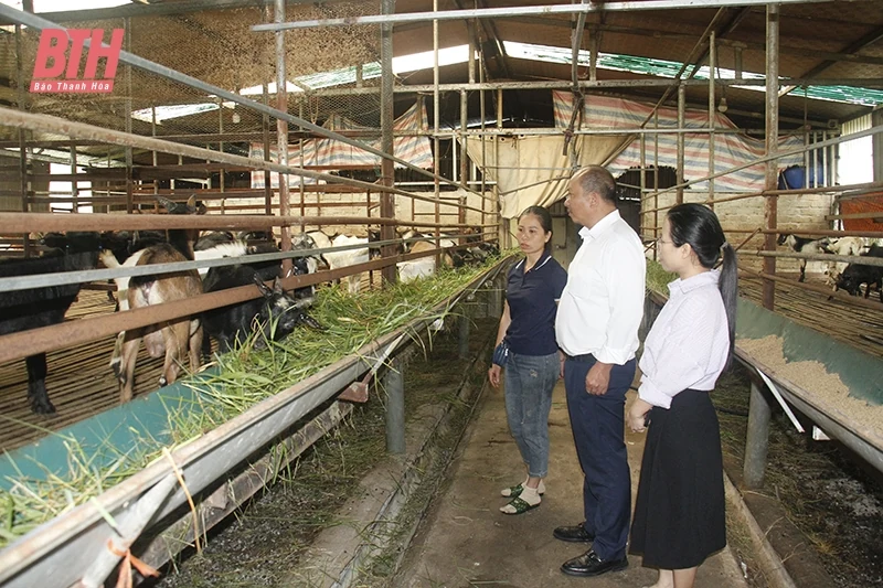 Đồng hành cùng khách hàng phát triển sản xuất, kinh doanh