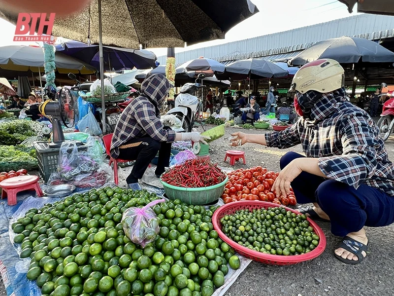 Đừng để trào lưu nhất thời “dắt mũi”
