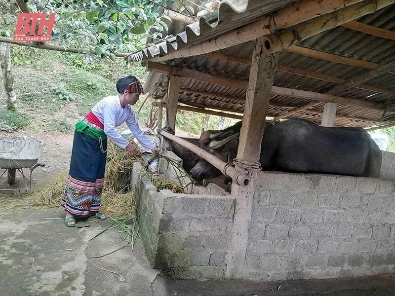 Thường Xuân phát huy hiệu quả nguồn vốn tín dụng chính sách