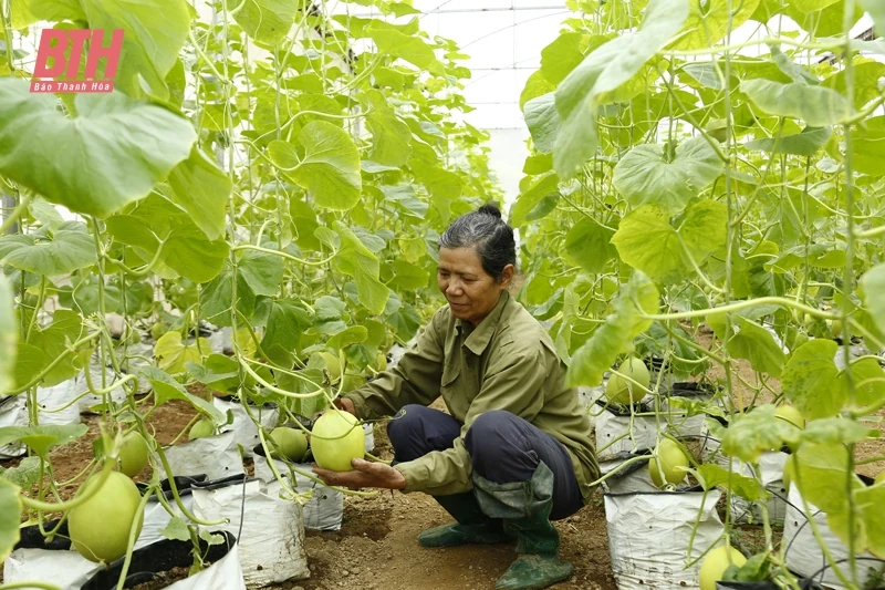 Xây dựng các mô hình sản xuất theo hướng ứng dụng khoa học - công nghệ