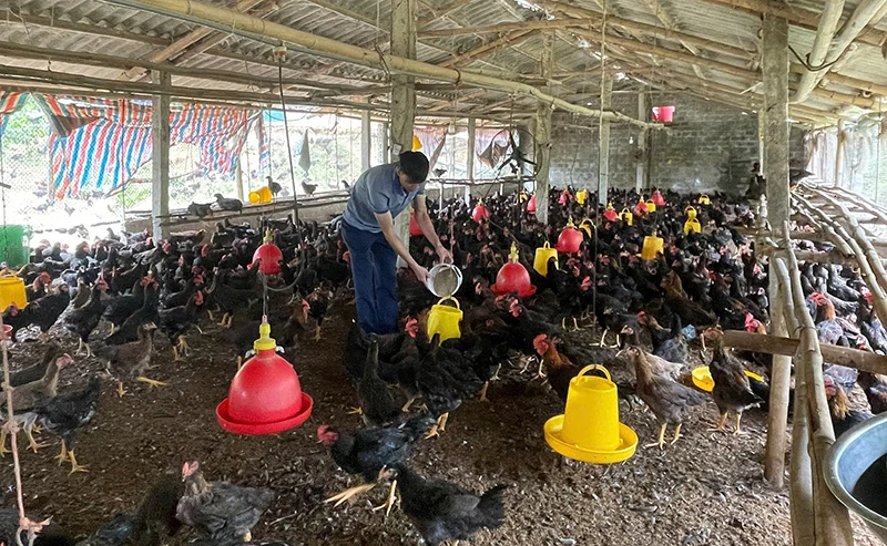 Ứng dụng công nghệ sinh học, phát triển nông nghiệp an toàn