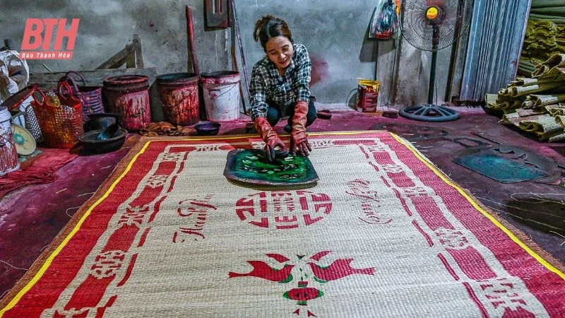 Cói xanh mùa nắng cháy