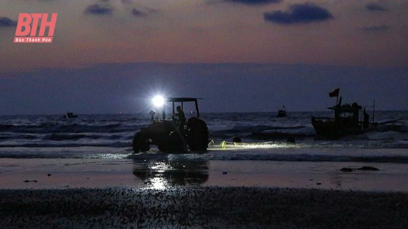 Bình minh ở làng chài ven biển xứ Thanh